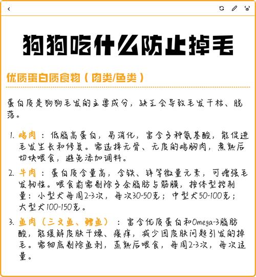 吃好东西，狗狗毛发不掉毛（狗掉毛吃什么）