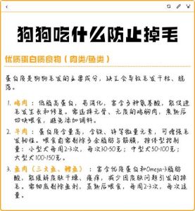 吃好东西，狗狗毛发不掉毛（狗掉毛吃什么）