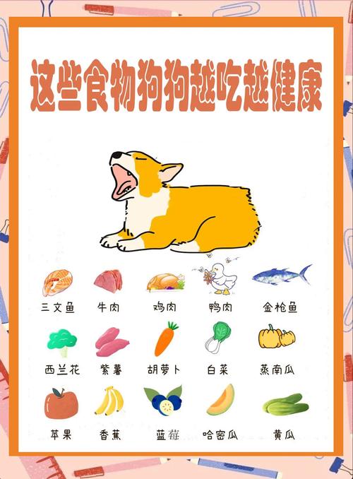 狗狗体味大？洗澡梳毛勤护理！（狗狗吃什么可以减体味）
