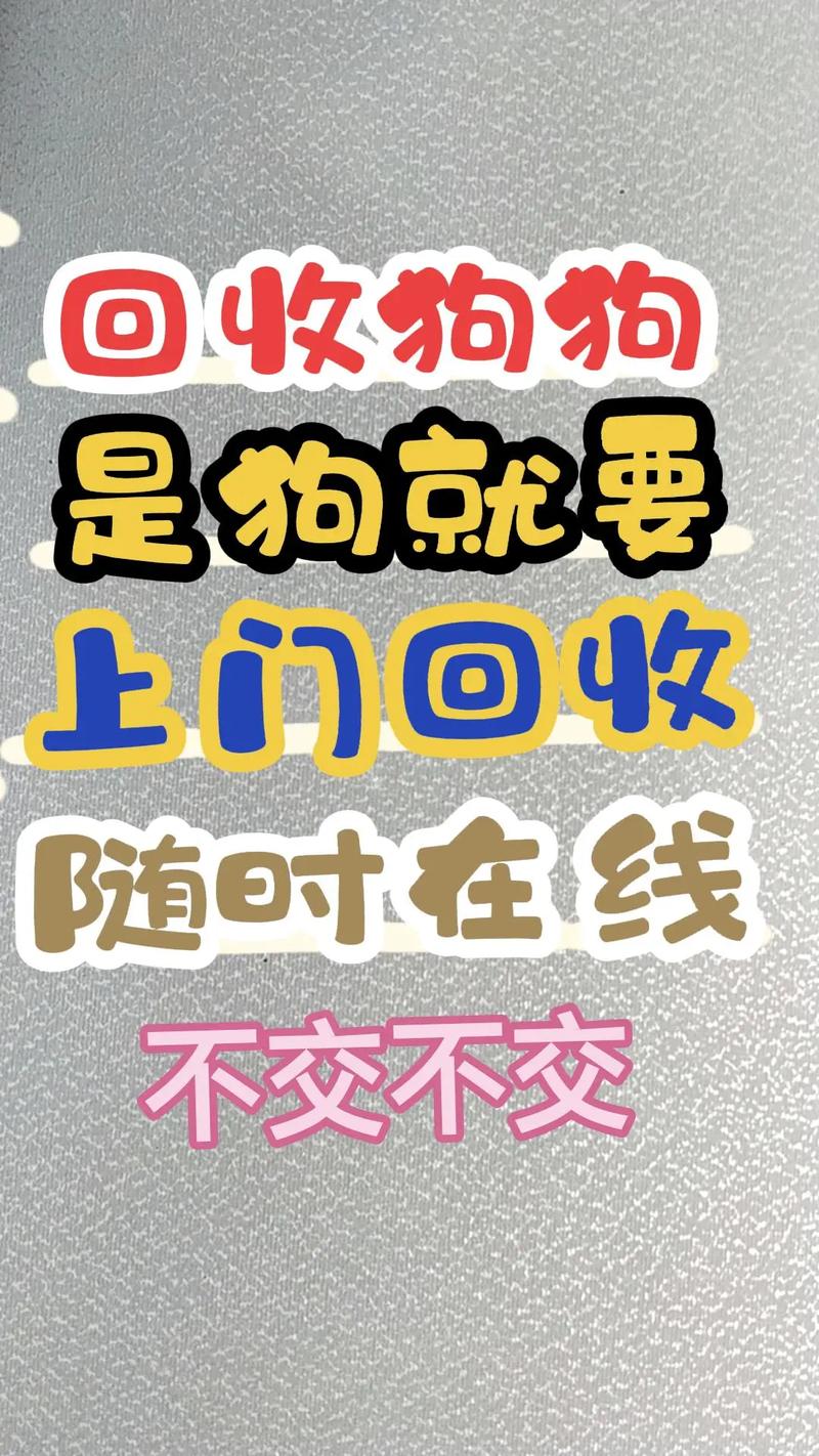 别乱丢弃狗狗！联系收容所或救助中心（狗狗不想养了有上门回收的吗）