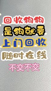 别乱丢弃狗狗！联系收容所或救助中心（狗狗不想养了有上门回收的吗）