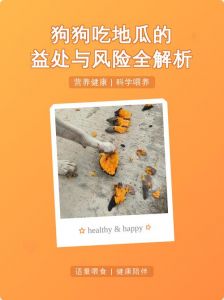 狗狗适量吃熟地瓜好处多（狗狗吃地瓜有好处吗）