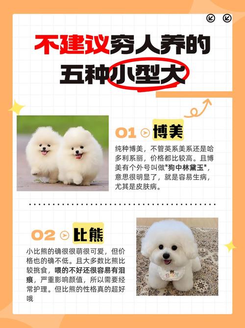 不适合当宠物的十种狗，养前必看！（十大最不建议养的狗）