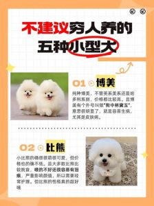 不适合当宠物的十种狗，养前必看！（十大最不建议养的狗）