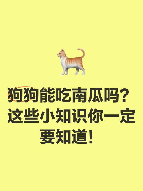 狗狗能吃南瓜吗？注意这些！（狗能吃生南瓜能吃吗）