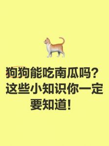 狗狗能吃南瓜吗？注意这些！（狗能吃生南瓜能吃吗）