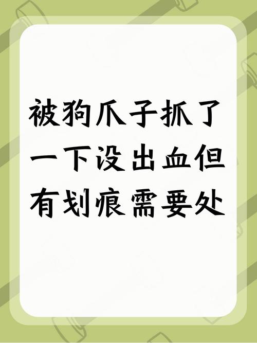 狗抓伤要当心，及时就医打疫苗！（狗狗用爪子挠伤有事吗）