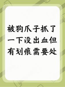 狗抓伤要当心，及时就医打疫苗！（狗狗用爪子挠伤有事吗）