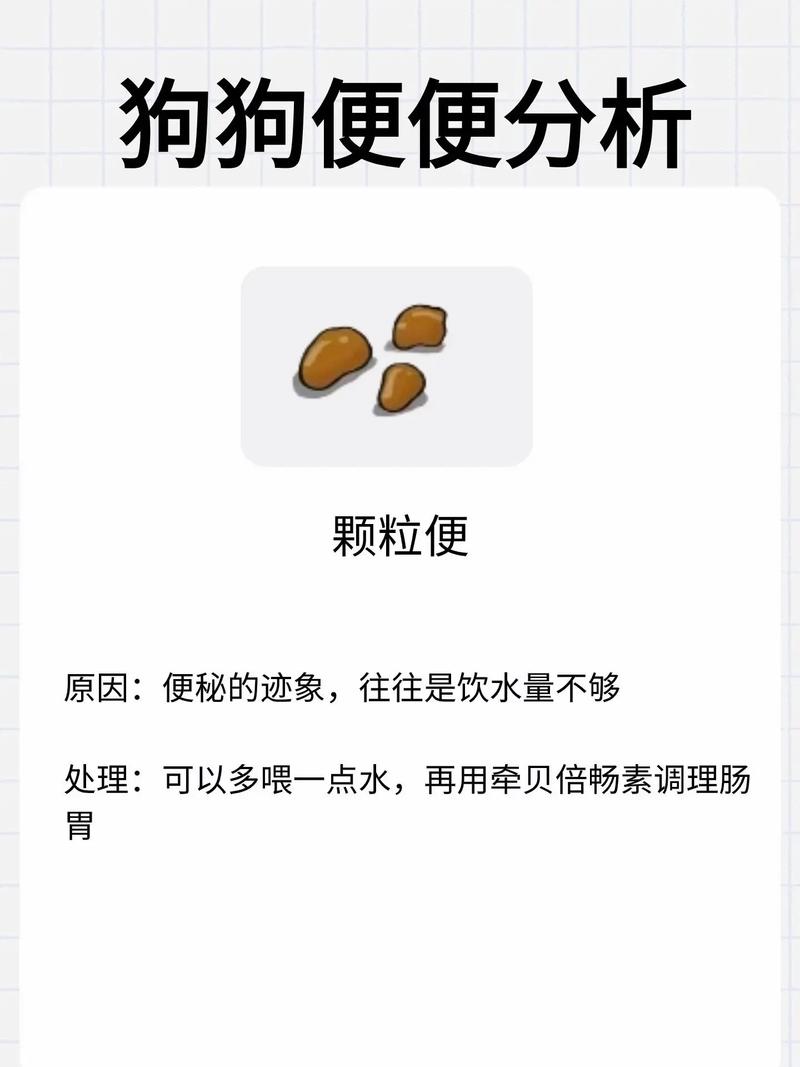金毛腥气重，法斗褶皱臭，夏季更需勤打理（狗狗体臭排名）