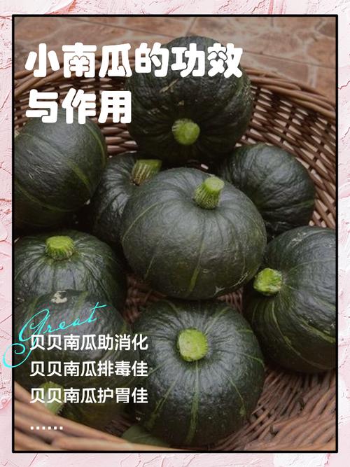 蒸南瓜喂狗需谨慎,易致胀气肥胖,注意营养均衡(南瓜蒸熟喂狗的害处) 蒸南瓜喂狗需谨慎,易致胀气肥胖,注意营养均衡(南瓜蒸熟喂狗的害处)
