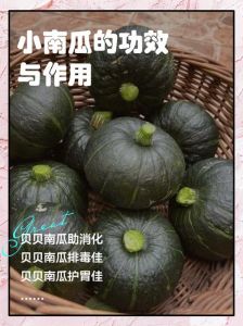 蒸南瓜喂狗需谨慎，易致胀气肥胖，注意营养均衡（南瓜蒸熟喂狗的害处）