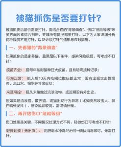 猫抓伤出血要打疫苗，破皮更要看情况（家养猫不小心抓了一下需要打疫苗么）