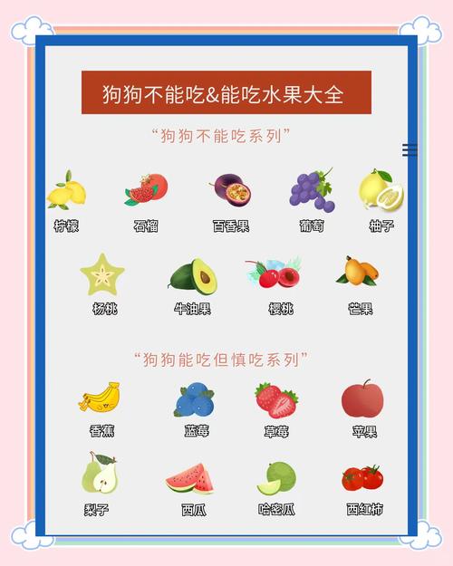 狗狗别吃枇杷，果核皮叶都中毒！（狗狗吃枇杷中毒表现）