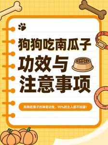 润肠通便，驱虫亮毛，助减肥（给狗狗吃南瓜有啥好处）