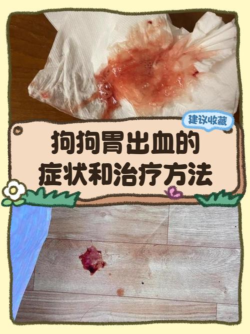 狗狗误食塑料拉血？速就医！（狗狗吃塑料拉血）