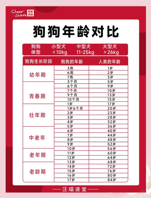 狗狗年龄对照表，科学养宠看这里！（狗年龄对照表大全）