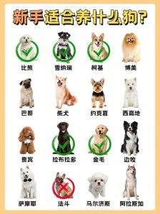 狗品种多，选对适合你家（宠物狗的品种图片大全）