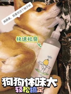 狗狗体味重？查查健康找对方法！（狗狗有体味了怎么处理）