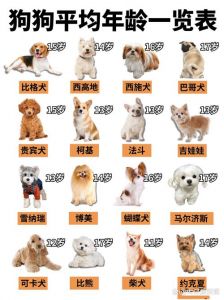 狗狗品种多样，了解它们才能更好照顾（100种狗狗品种）