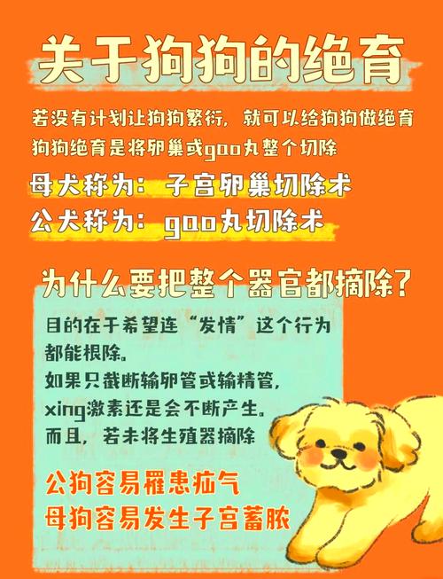 给狗狗绝育好处多，健康少烦恼！（狗不绝育有什么危害）