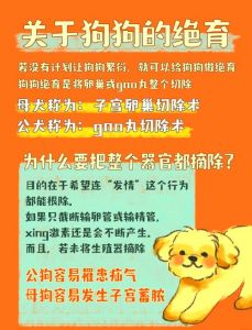 给狗狗绝育好处多，健康少烦恼！（狗不绝育有什么危害）