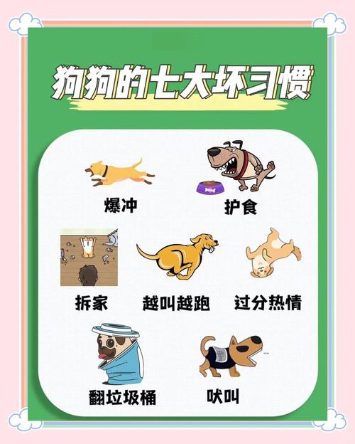 狗狗体味重？洗澡清洁饮食调理试试看！（小狗有体味怎么办）