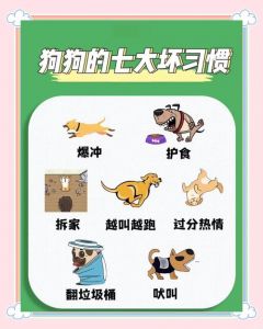 狗狗体味重？洗澡清洁饮食调理试试看！（小狗有体味怎么办）