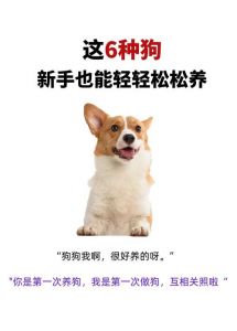 忠诚智慧伴侣指南（什么狗又好养又忠诚）