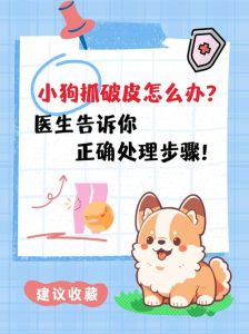 被狗抓伤？肥皂水洗，深伤口快看医生！（被家养的狗狗抓了怎么办）