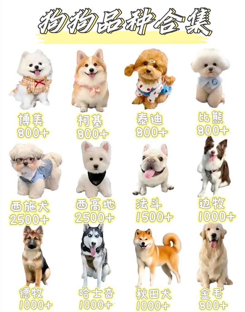 超萌犬种总动员（宠物狗品种大全）