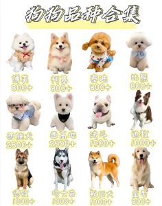 超萌犬种总动员（宠物狗品种大全）
