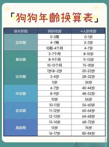 狗狗年龄对照表，科学养宠看这里！（狗年龄对照表大全）