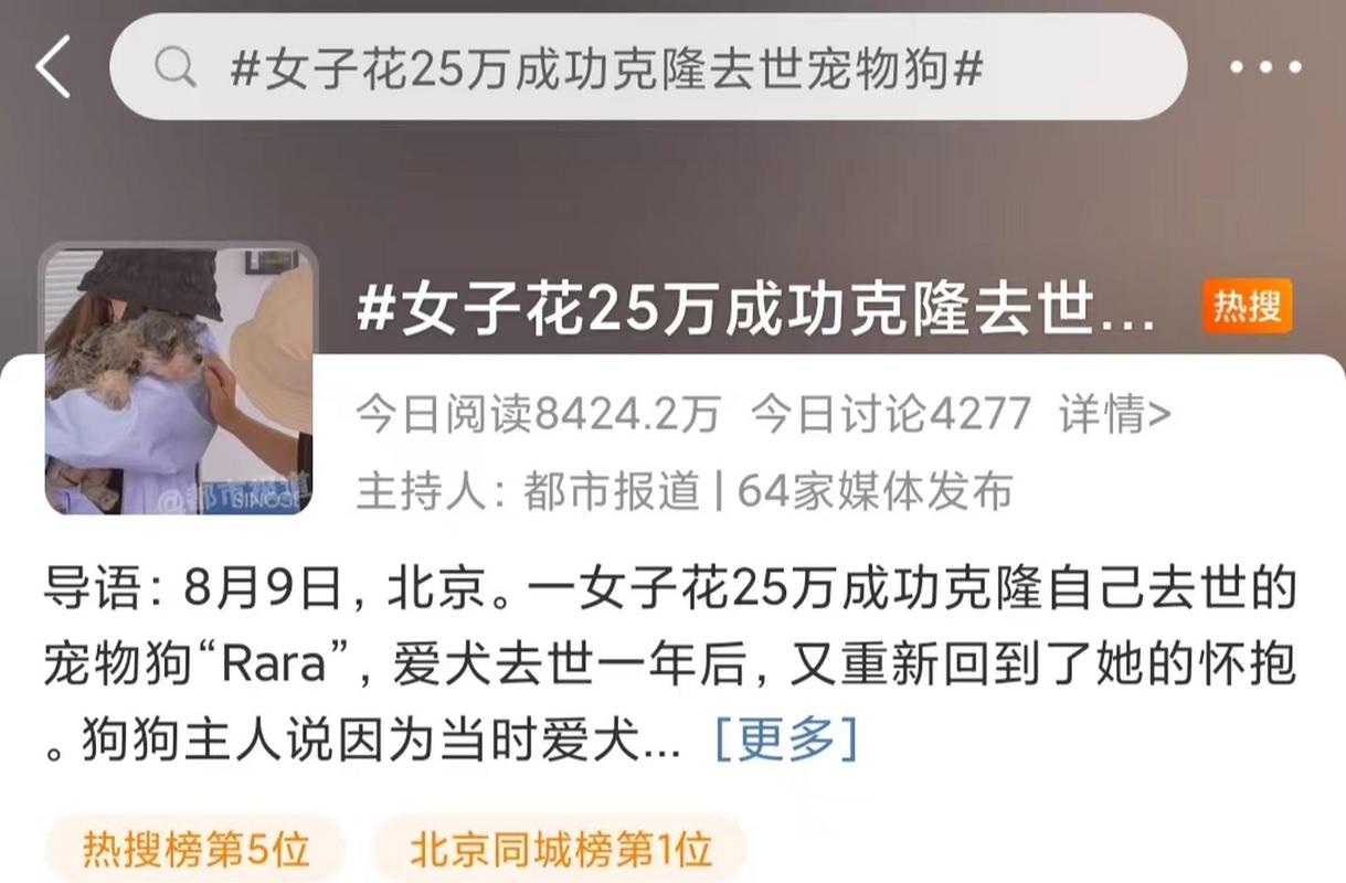 克隆狗狗费用十几万，成功难且需警惕（克隆狗狗多少钱）