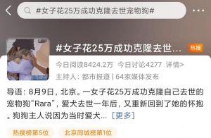 克隆狗狗费用十几万，成功难且需警惕（克隆狗狗多少钱）