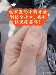 狗抓伤皮肤怎么办？速处理就医！（不小心被小狗划破皮了）