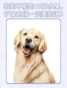 狗狗肠胃弱禁食葡萄百香果，安全水果苹果蓝莓西瓜适量（哪种水果狗狗不能吃）