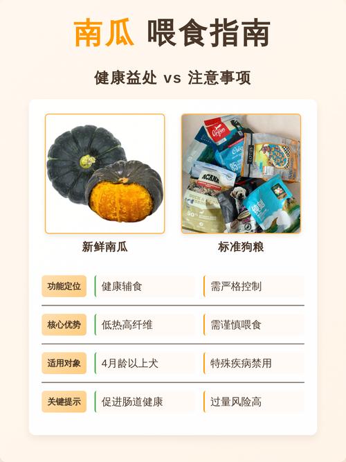 喂南瓜调理肠胃补营养，注意适量防胀气（南瓜对狗狗的好处）