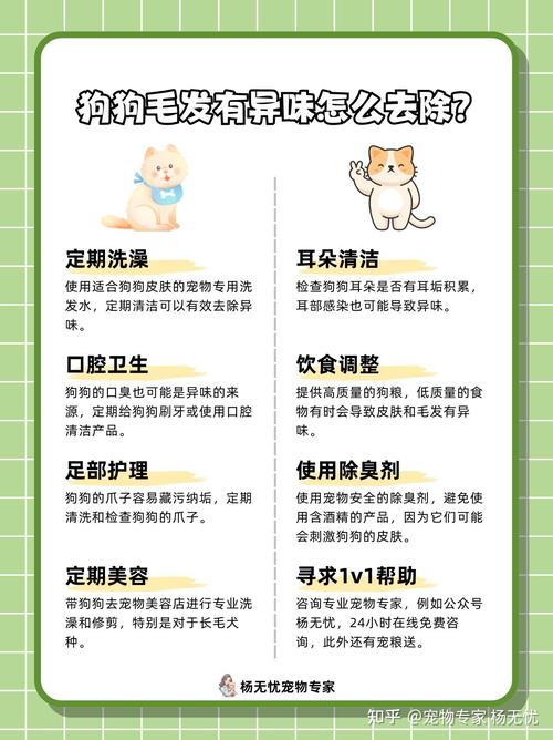 狗狗异味多？洗澡清洁饮食调，除味剂来搞定！（狗狗有异味怎么去除）