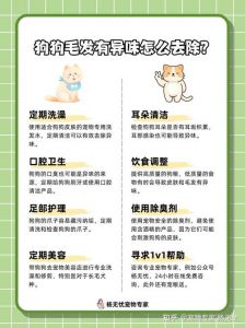 狗狗异味多？洗澡清洁饮食调，除味剂来搞定！（狗狗有异味怎么去除）