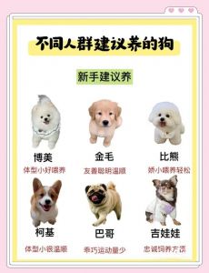 拉布拉多贵宾比熊等前十名（十大家养宠物犬排行榜）