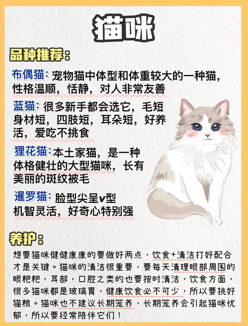 养百种宠物？了解习性，负责任养！（挑战养100种宠物）