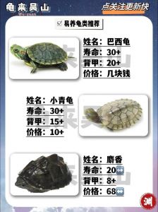 高端窄桥安哥洛卡，中端红面，入门巴西（什么龟最有价值）