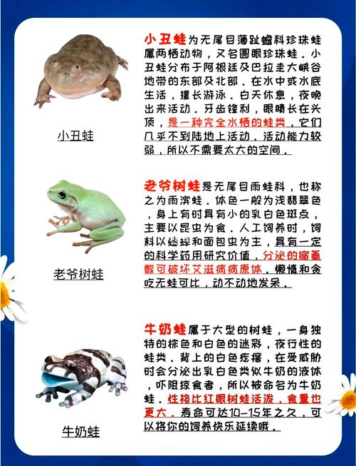 养宠物蛙,看种类选环境(蛙的品种及图片) 养宠物蛙,看种类选环境(蛙的品种及图片)