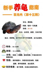 10种智慧超群的龟类（乌龟智商排行榜前10名）