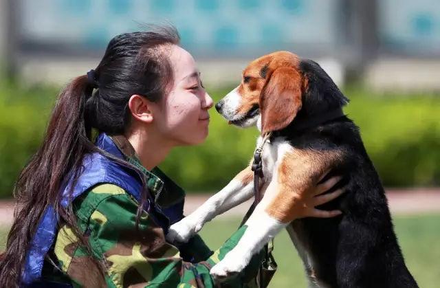 科学养宠新风尚（美女宠物犬训练学校）