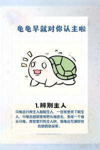 Turtle WoW私服关闭，玩家情感失落，平行宇宙终结（乌龟服危险的爱情）