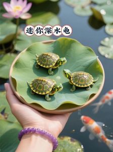 深水龟养好，环境水质是关键（深水龟最建议养三样）