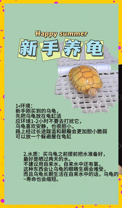 属牛人养龟选三只旺运,但数量因家庭情况而定(属牛的人养小龟多少只最合适) 属牛人养龟选三只旺运,但数量因家庭情况而定(属牛的人养小龟多少只最合适)