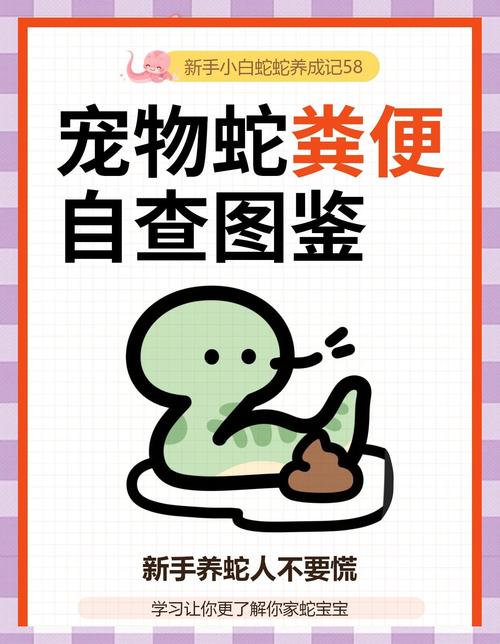 宠物蛇粪便臭？速隔离换垫材除味！（宠物蛇的屎好臭正常吗）