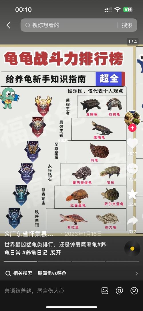 战术宠物选择与免费模式期待(乌龟服猎人宠物排名) 战术宠物选择与免费模式期待(乌龟服猎人宠物排名)